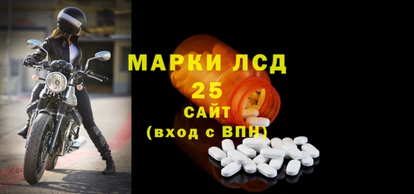 хмурый Сатка