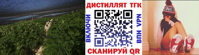 ТГК жижа  закладки  Болотное 
